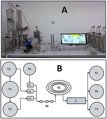 Factorial and Economic Evaluation of an Aqueous Two-Phase Partitioning Pilot Plant for Invertase Recovery From Spent Brewery Yeast